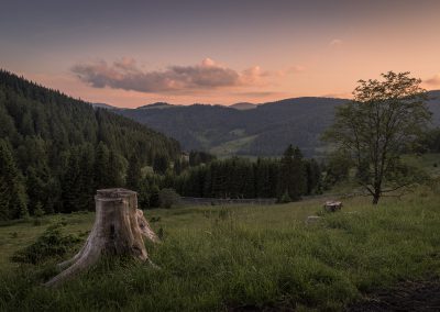 Schwarzwald / Menzenschwand
