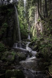 Schwarzwald Wasserfall